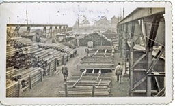 PIC_164-Pollak-Stell