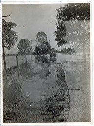 PIC_174-Flood
