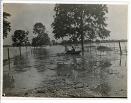PIC_175-Flood